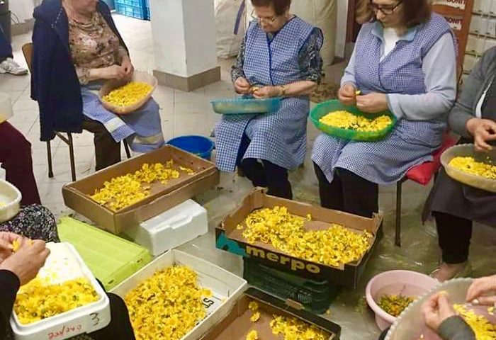 Elaboración das alfombras floráis