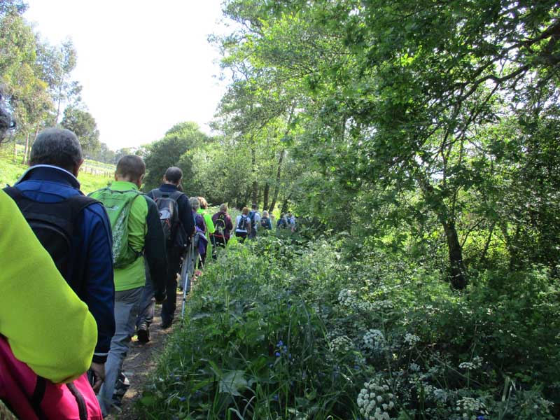 La PR-G171 «Ruta Da Pedra e da Auga e do Río San Martiño», transcurre por el ayuntamiento de Meis, donde los participantes recorrieron un total de 20km de distancia comezando y terminando la ruta en el monastero cisterciense de Armenteira.
