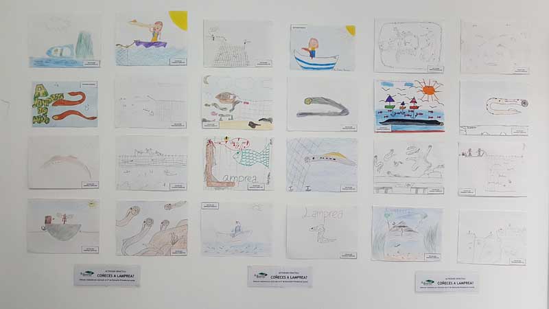 A Guarda pecha esta fin de semana a programación dos fins de semana gastronómicos que dende o pasado 23 de marzo oferta este manxar do Río Miño en 10 bares e restaurantes co obxectivo de potenciar A Guarda como destino gastronómico da lamprea.