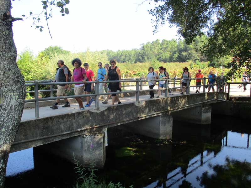 A primeira andaina, desta nova sesión celebrouse o pasado sábado día 15 de setembro, onde os participantes percorreron a Ruta da Cova Moura nas terras portuguesas de Monçao cunha distancia total de preto de 20 km.
