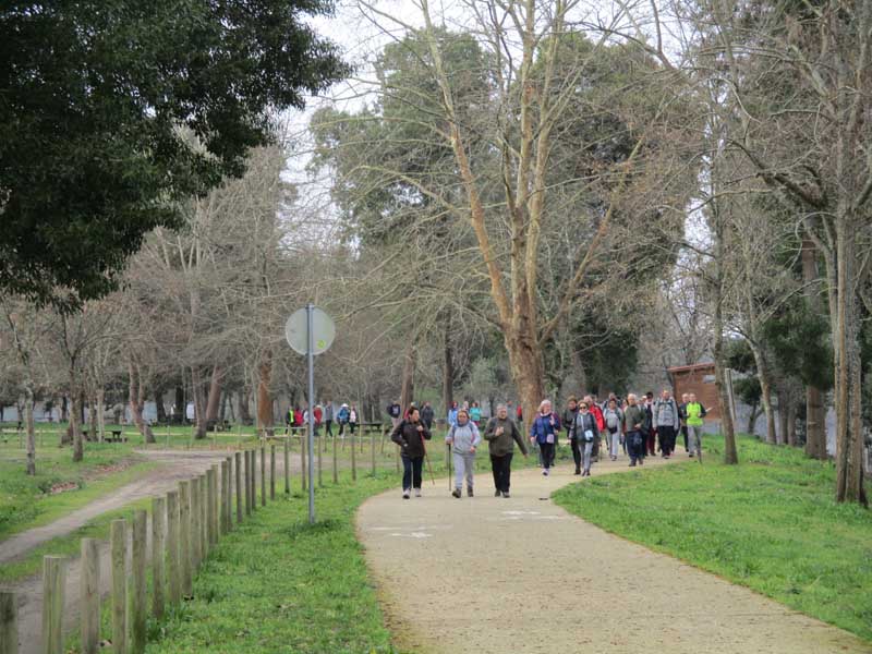 Las andainas se iniciaron el pasado sábado día 23 de febrero con un recorrido por la Ecopista de la ribera del Río Miño entre Vila Nova de Cerveira y Valença do Minho, donde un grupo de numeroso de vecinos de A Guarda y Caminha aprovecharon y disfrutaron de una expléndida jornada con unas excelentes temperaturas para conocer este paseo a orillas del Río Miño por tierras portuguesas.