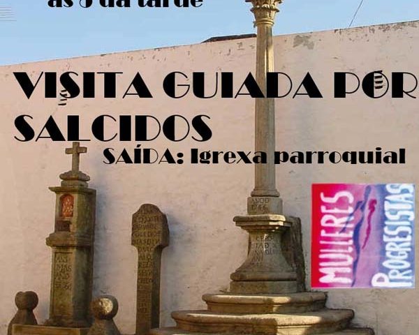 Visita guiada por Salcidos
