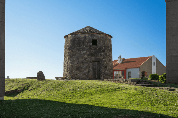 04 Molinos 03