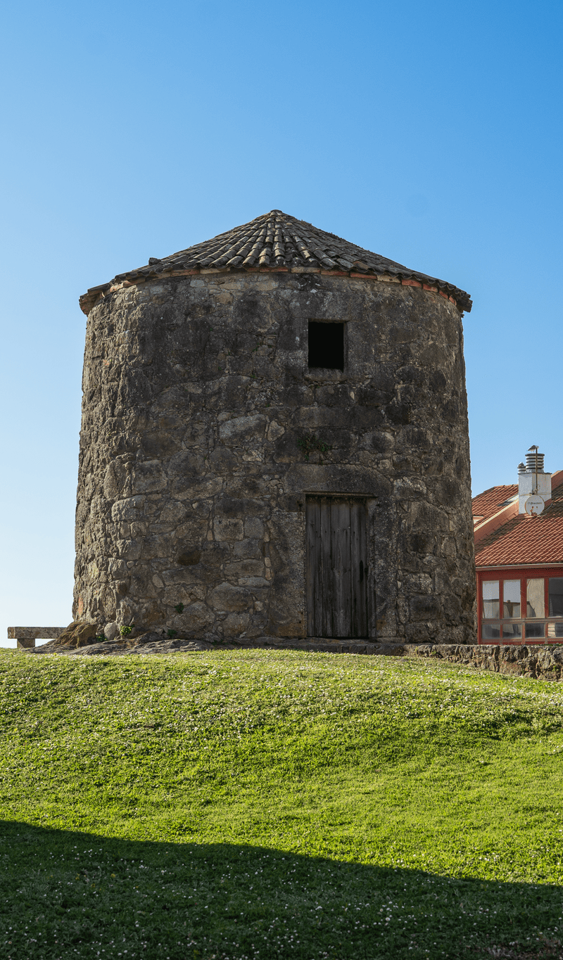 04 Molinos 03