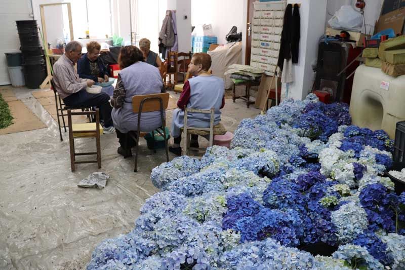 Las calles de A Guarda se llenarán de color este domingo con las Alfombras Florales