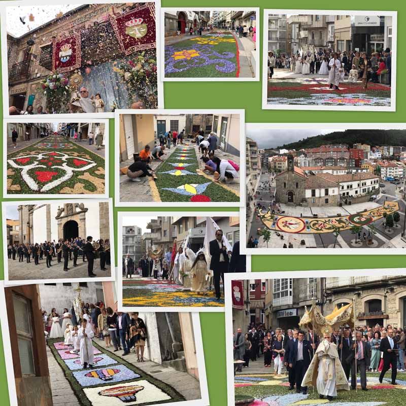 Las Alfombras Florales volvieron a llenar de color las calles de A Guarda